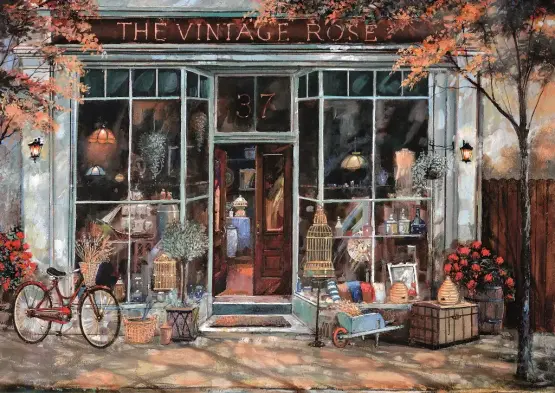 The Vintage Shop Place
