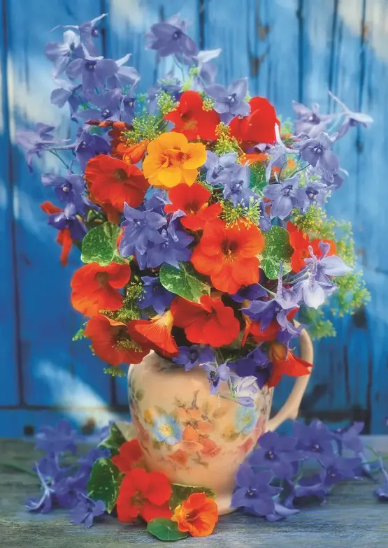 Spring Blues